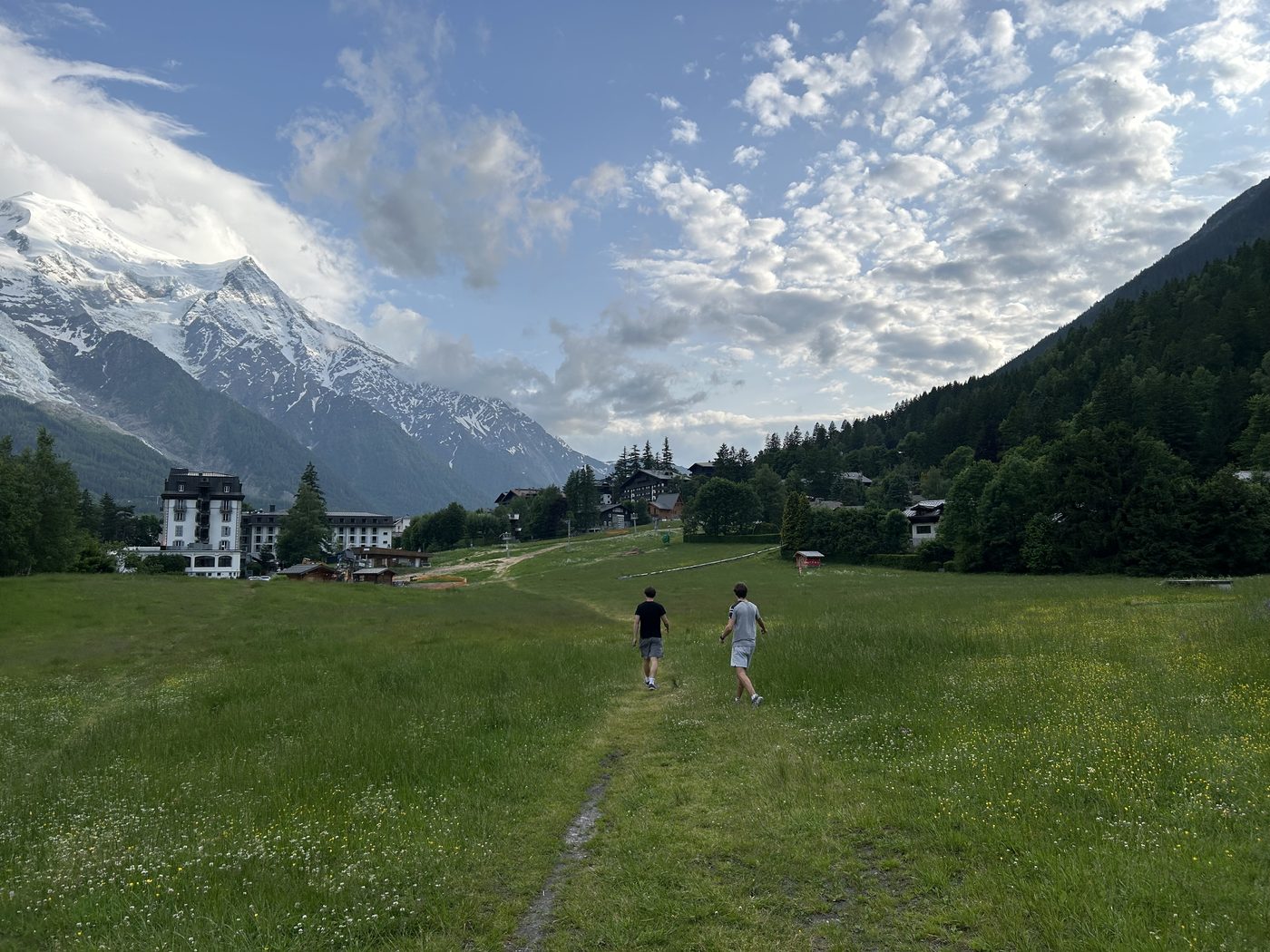 An alpine valley: a green meadow and a footpath, with snow-capped peaks behind.