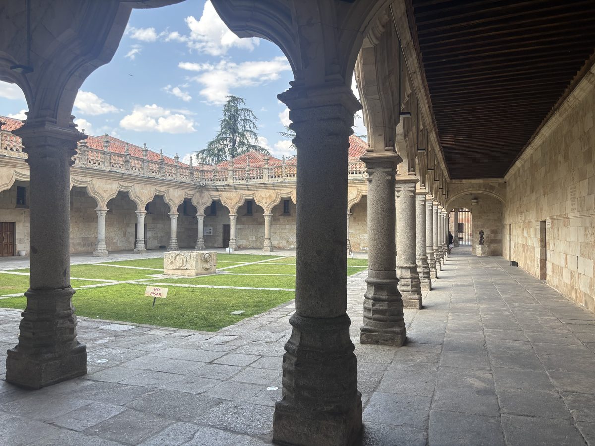 A sandstone cloister at the University of Salamanca, seen through its stone columns, with a lawn in the middle and a cedar rising behind the tiled roofs.